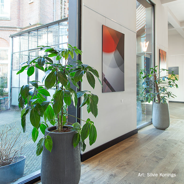 STAS, leader des solutions d'accrochage de tableaux.