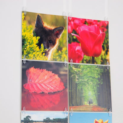 STAS picture hits unissent photos et cartes