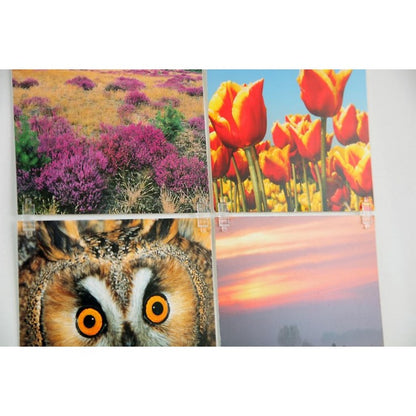 STAS picture hits en plastique, transparentes