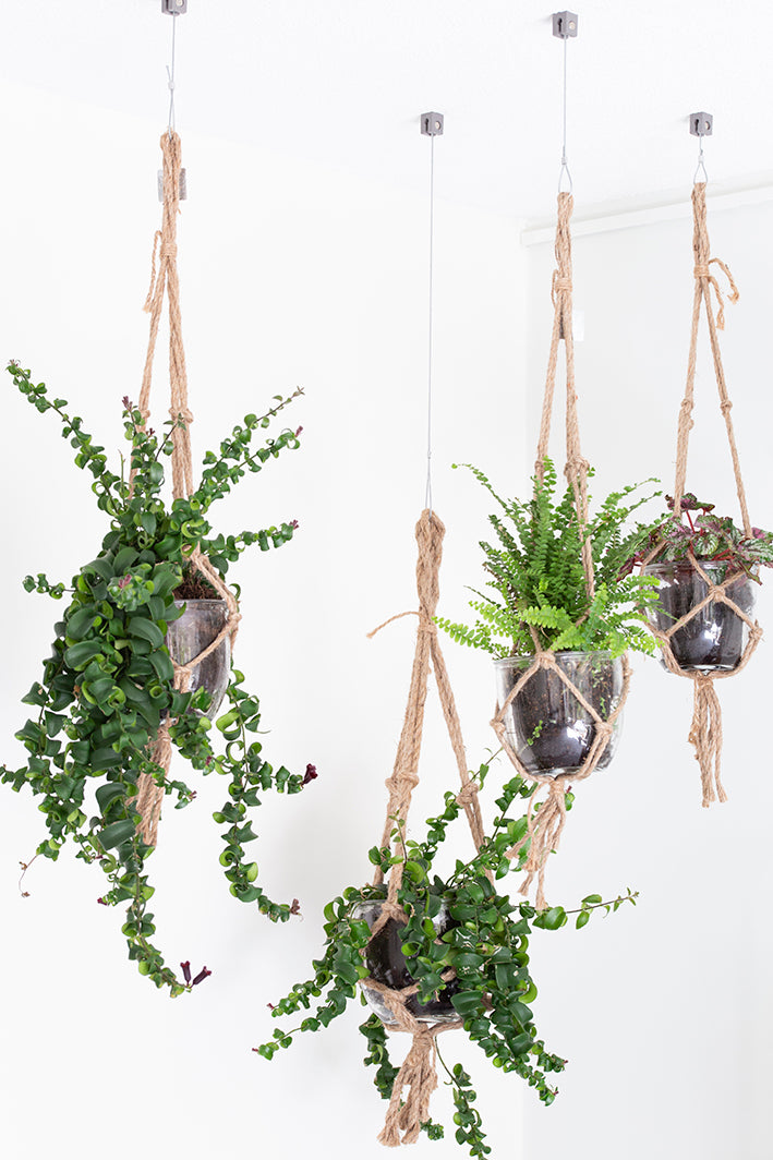 STAS qubic: adapté à tous vos besoins de décoration.