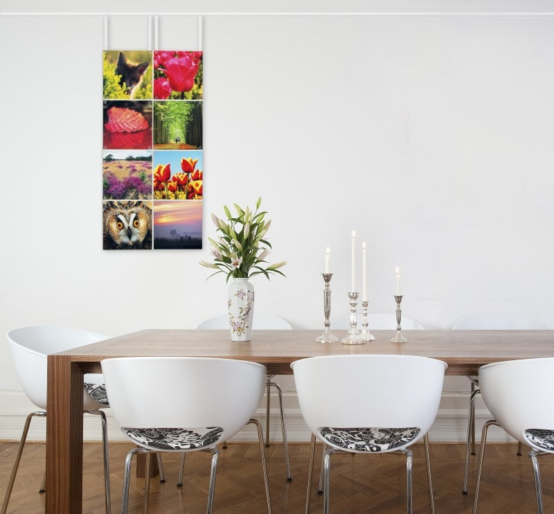 STAS picture hits parfaits pour collages temporaires
